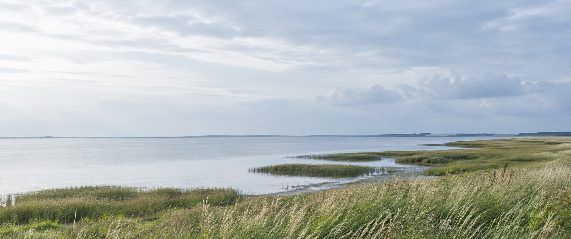 Norddeutsche Landschaft – KI-Platzhalter